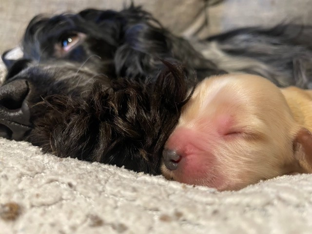 Summer et Ulli sont parents depuis le 24 décembre dernier