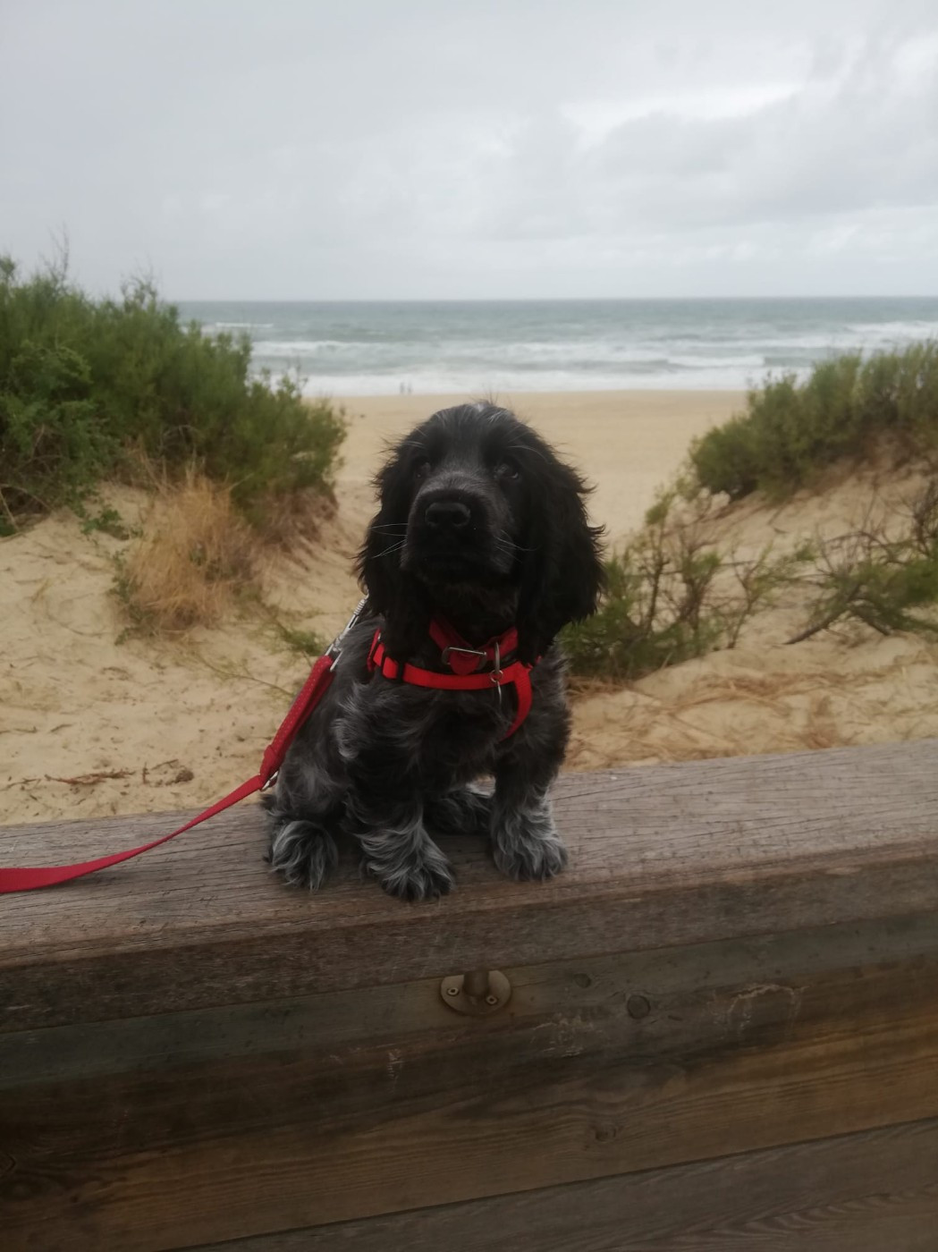 Un début d'année 2026 bien remplie